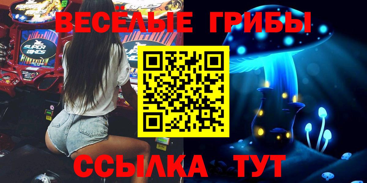 Дубна  Псилоцибиновые грибы MAGIC MUSHROOMS  Вход с VPN 