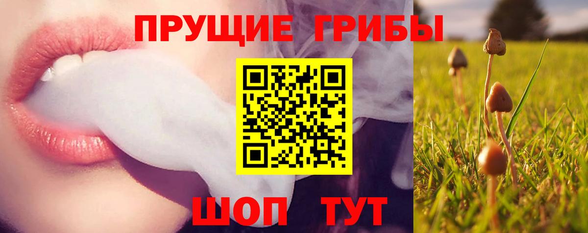 Галлюциногенные грибы мицелий Дубна