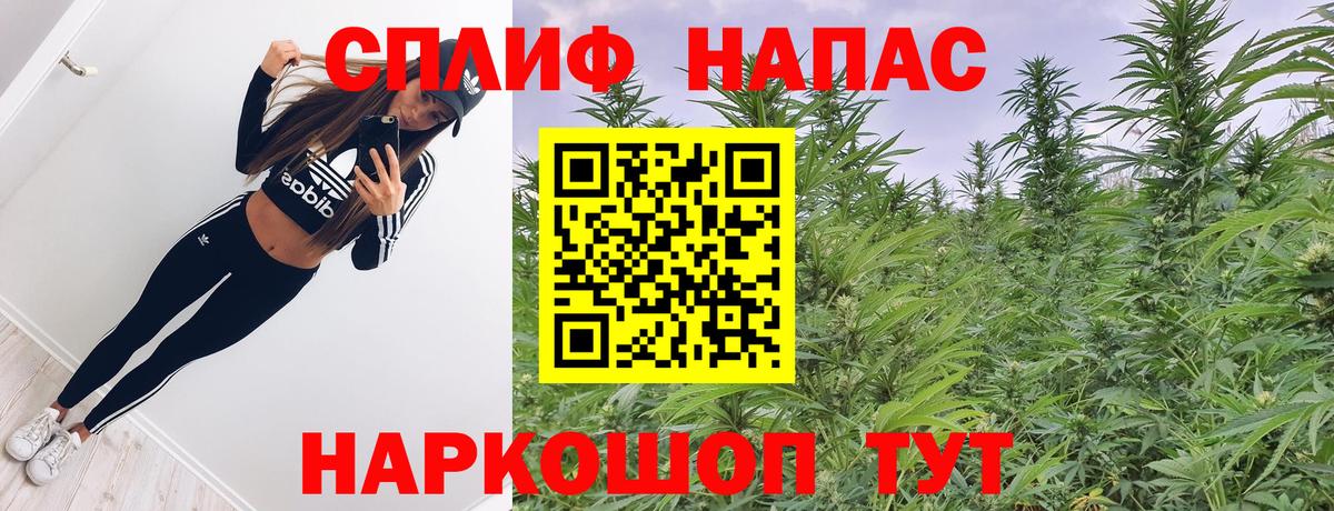 Марихуана планчик Дубна